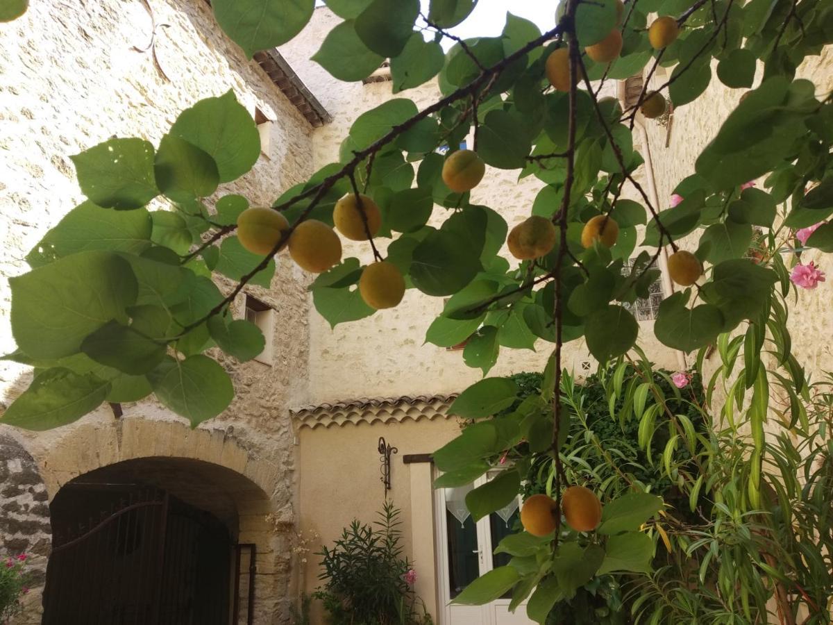 Le Terebinthe B&B Lauris Εξωτερικό φωτογραφία
